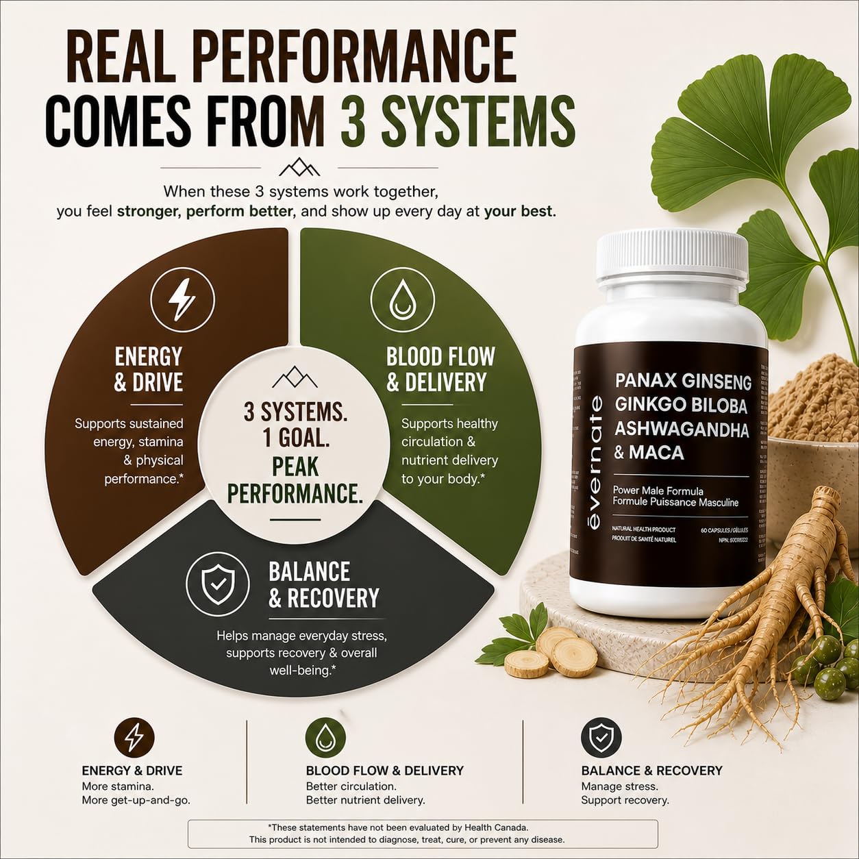 ONE Maca, Ginkgo Biloba, Panax Ginseng, Tribulus, Tongkat Ali, L-Arginine & Ashwagandha – Energy, Stamina, Endurance & Vitality Support – Made in Canada - Available at All In One Marketplace Canada