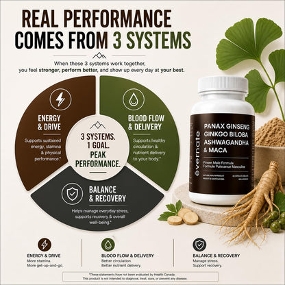 ONE Maca, Ginkgo Biloba, Panax Ginseng, Tribulus, Tongkat Ali, L-Arginine & Ashwagandha – Energy, Stamina, Endurance & Vitality Support – Made in Canada - Available at All In One Marketplace Canada