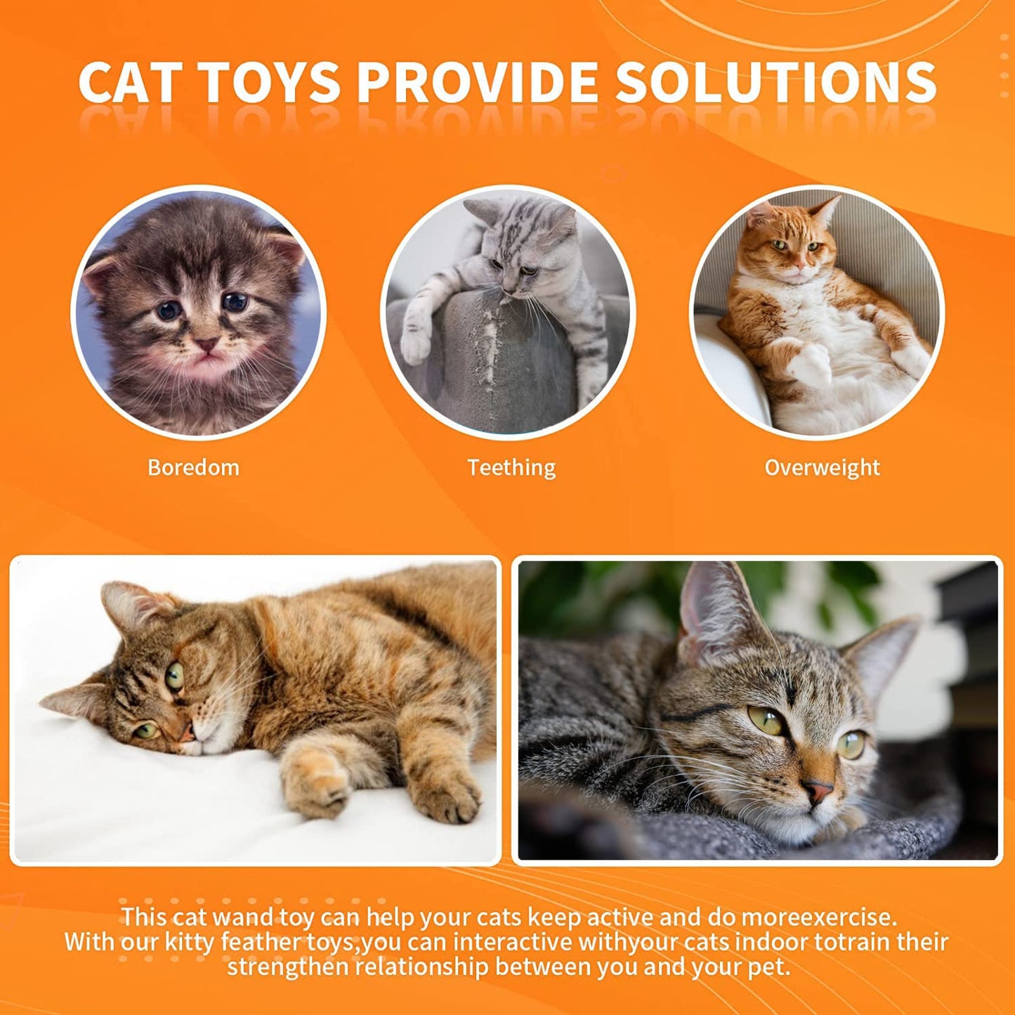 Cat Feather Toys, Cat Toys Wand, Interactive Cat Toy with Super Suction Cup, 2 PCS Cat Wand Toy and 6 PCS Feather Replacements with Bell, Interactive Cat Toy Kitten Toys for Indoor Play Chase Exercise (Natural)