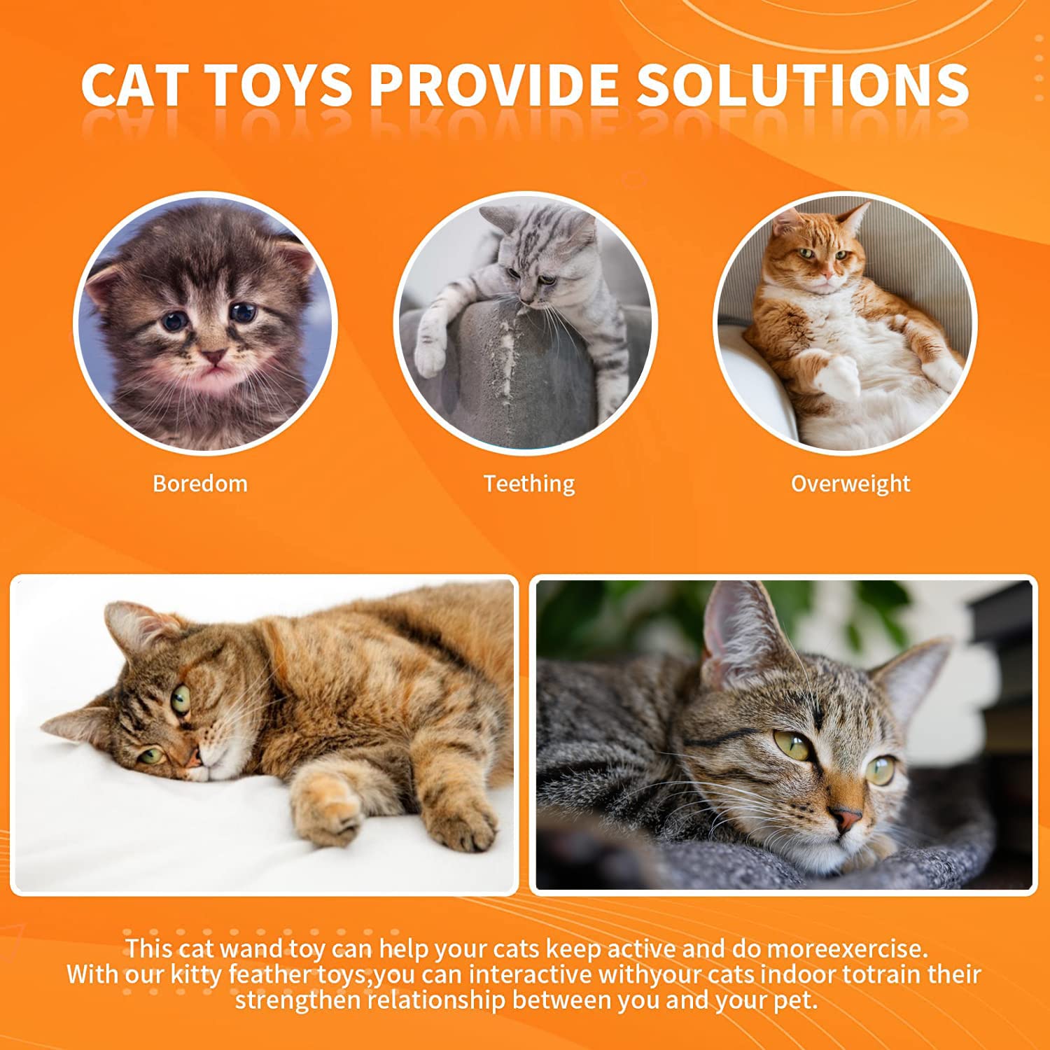 Cat Feather Toys, Cat Toys Wand, Interactive Cat Toy with Super Suction Cup, 2 PCS Cat Wand Toy and 6 PCS Feather Replacements with Bell, Interactive Cat Toy Kitten Toys for Indoor Play Chase Exercise (Natural)