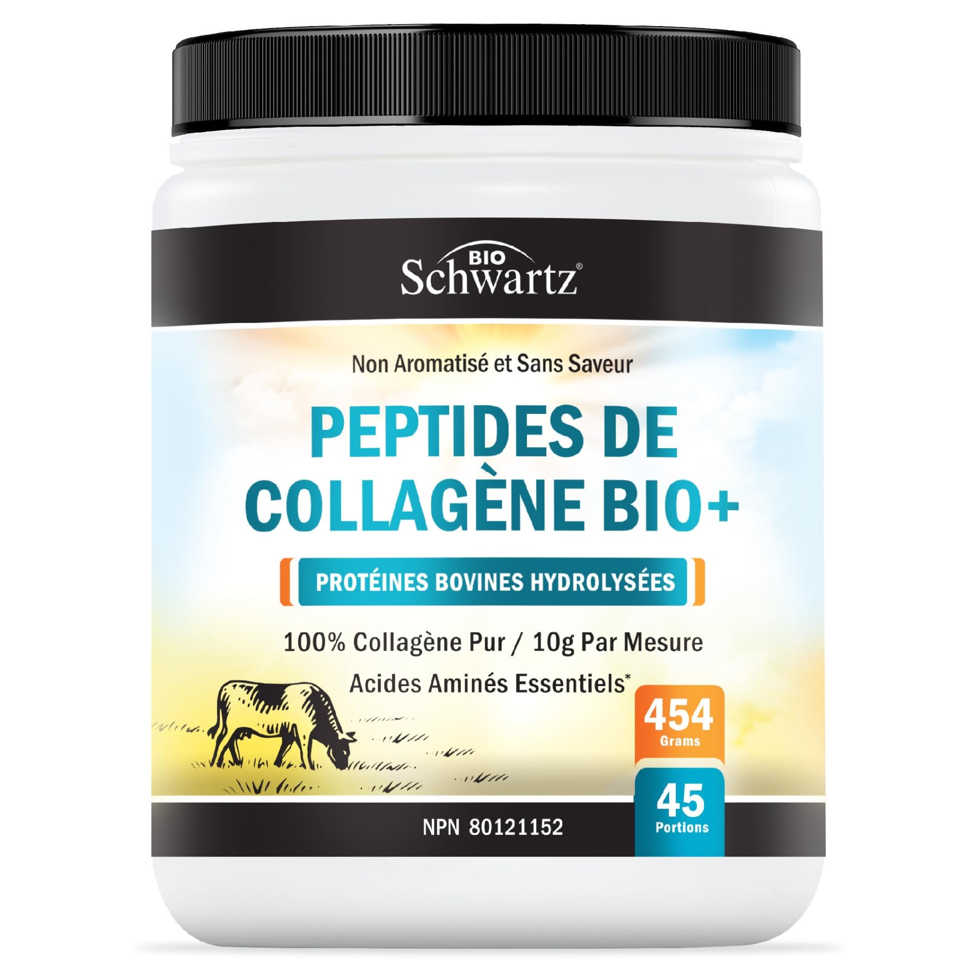 Collagen Peptides Powder | Hydrolyzed Collagen Powder with 18 Essential Amino Acids | Supports Healthy Skin Hair & Nails | Bone & Joint Support | Unflavored, Non GMO, Gluten Free | Easy to Mix | 16 oz - Available at All In One Marketplace Canada