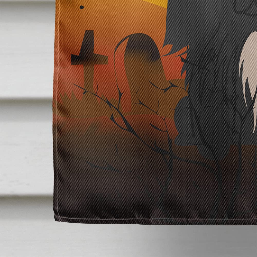 Caroline's Treasures BB4373CHF Halloween Pekingnese Black Flag Canvas House Size, Large, Multicolor