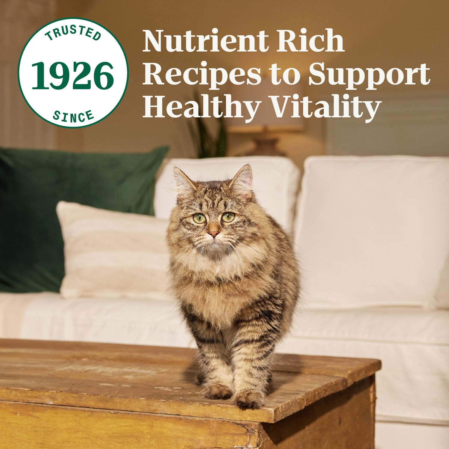 Nutro Wholesome Essentials Adult Dry Cat Food, Chicken Flavour, 1.36kg Nutro
