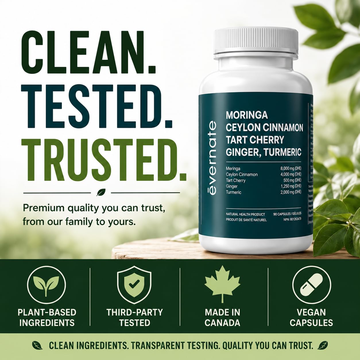 ALL-IN-ONE Moringa 8000 mg with Ceylon Cinnamon 4000 mg, Tart Cherry, Turmeric, Ginger & Garlic (Per Serving: 2 Capsules) – Antioxidant, Detox, Energy & Metabolic Support – Made in Canada - Available at All In One Marketplace Canada