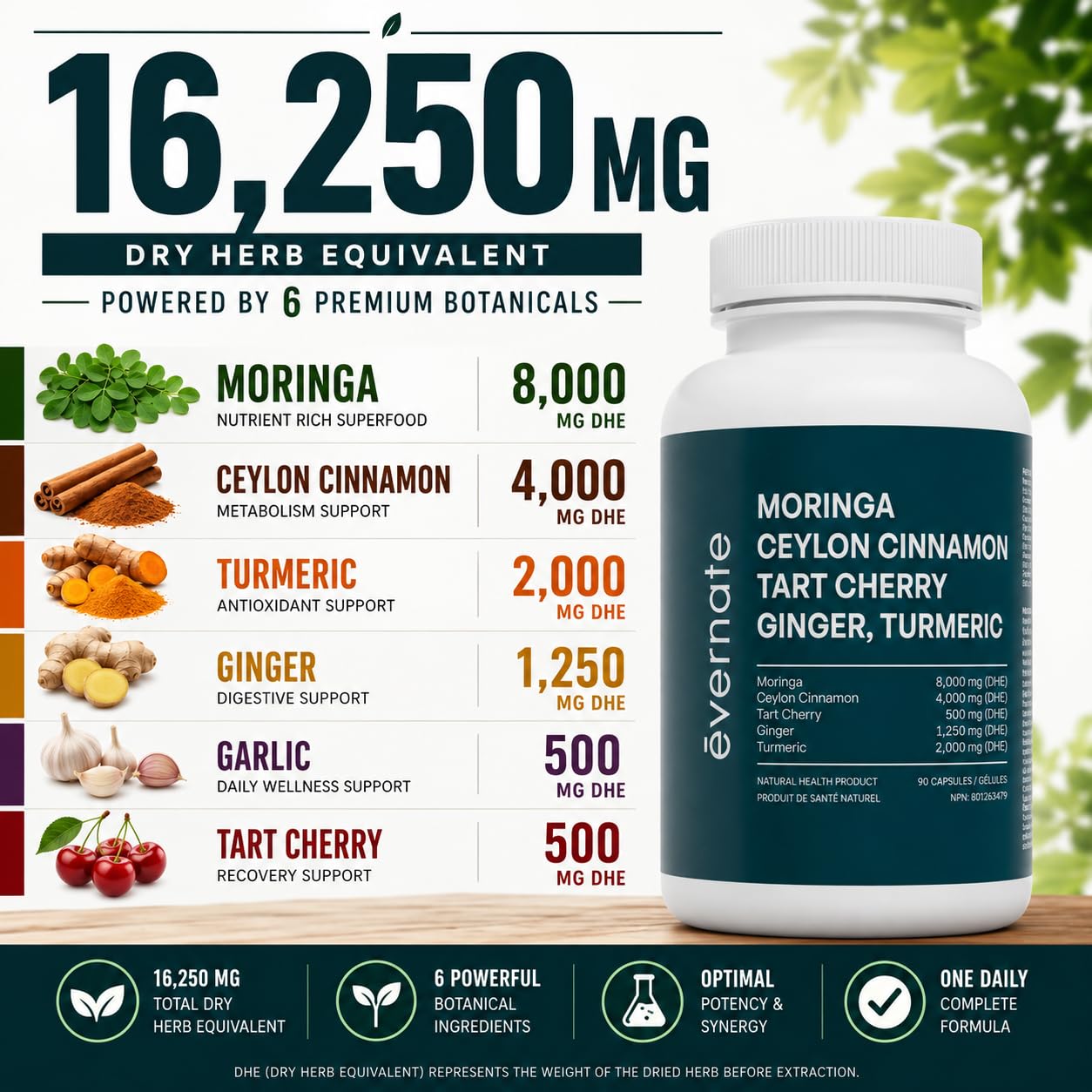 ALL-IN-ONE Moringa 8000 mg with Ceylon Cinnamon 4000 mg, Tart Cherry, Turmeric, Ginger & Garlic (Per Serving: 2 Capsules) – Antioxidant, Detox, Energy & Metabolic Support – Made in Canada - Available at All In One Marketplace Canada