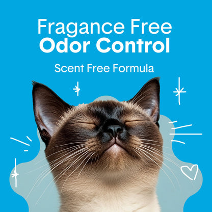 Boxie® Unscented 30 Day Odor Control Clumping Clay Cat & Kitty Litter 16 lb, 99.9% Dust-Free, Hard Flat Top® Clumps, No Fragrances No Fillers, Long-Lasting, Easy to Scoop