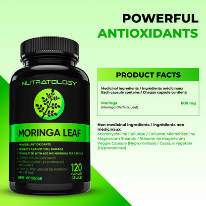 Nutratology® Organic Moringa Leaf Capsules | 1200MG Per Serving | Canadian-Made | Provides Powerful Antioxidants - Protects Against Cell Damage, Supports Liver Detox & Gut Health - 120 Caps - Available at All In One Marketplace Canada