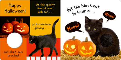 Noisy Halloween: My First Touch and Feel Sound Book