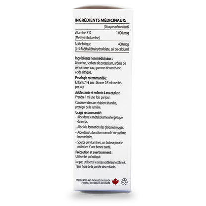 GNA Naturals Kids Vitamin B12 with Folate Supplement, 60ml - VitaminB12 Methylcobalamin 1000 mcg - Liquid Drops for Kids - Cherry Flavour- Methyl B12 Folate Supplement - Vitamin-B12-Complex – Vegan – For energy, metabolism and supports memory– Made in Can - Available at All In One Marketplace Canada
