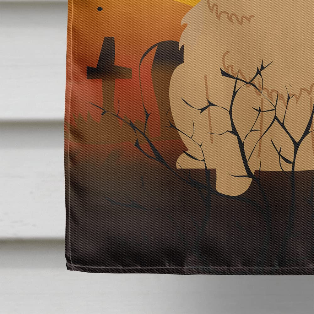 Drapeau de maison Caroline's Treasures BB4410CHF Halloween Chow Chow en toile crème, grand format, multicolore