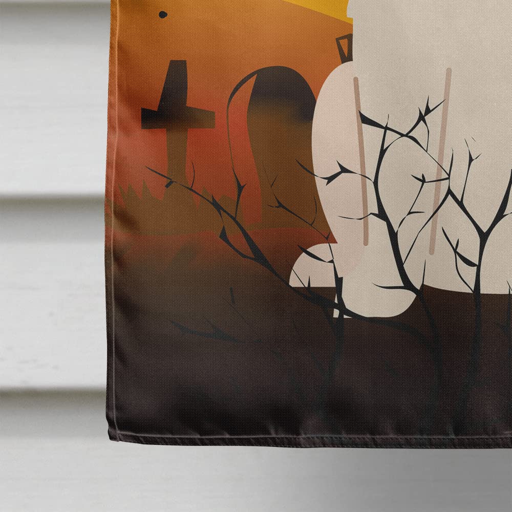 Drapeau de maison en toile Caroline's Treasures BB4349CHF Halloween Patou, grand, multicolore