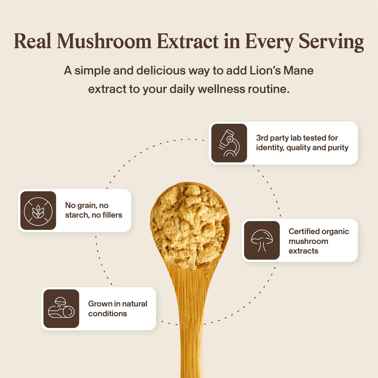 Real Mushrooms Lions Mane Capsules - Organic Mushroom Extract With Immunomodulating Properties Antioxidants Vegan Brain Supplement, 120 - Available at All In One Marketplace Canada