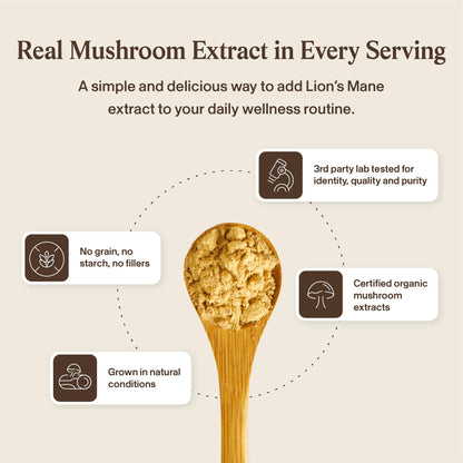 Real Mushrooms Lions Mane Capsules - Organic Mushroom Extract With Immunomodulating Properties Antioxidants Vegan Brain Supplement, 120 - Available at All In One Marketplace Canada