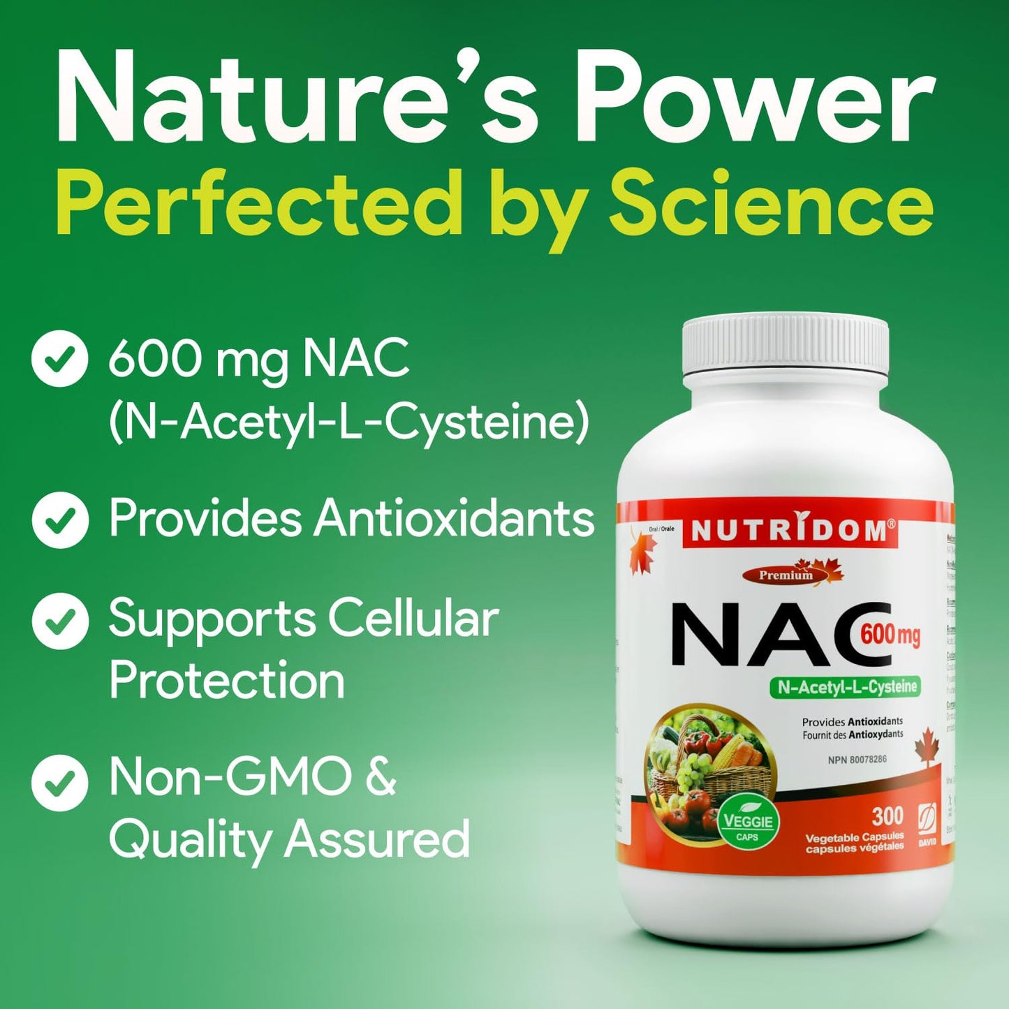 Nutridom NAC 600 mg, 300 Capsules, Canadian-Made N-Acetyl-L-Cysteine Supplement, Non-GMO, Vegan, Gluten Free, Made in Canada - Available at All In One Marketplace Canada