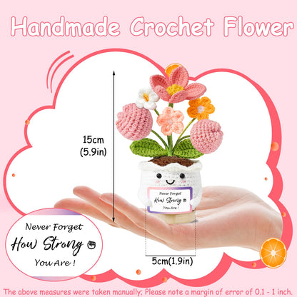 Inspirational Gifts for Women Friends Emotional Support Positive Crochet Flower Get Well Gift for Her Valentines Christmas Birthday Small Gifts for Women Colleague,Girlfriend Cute Room Home Decor 🍁 All In One Marketplace Canada