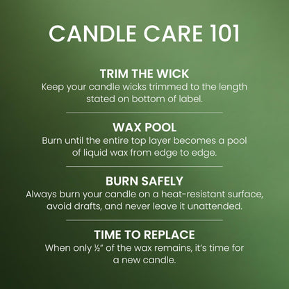 Yankee Candle 3 Wick Candle Jar, Scented Candle with up to 40 Hours of Burn Time, Premium Plant Wax Blend for Consistent Long Lasting Scent from First to Last Burn, Balsam & Cedar 🍁 All In One Marketplace Canada