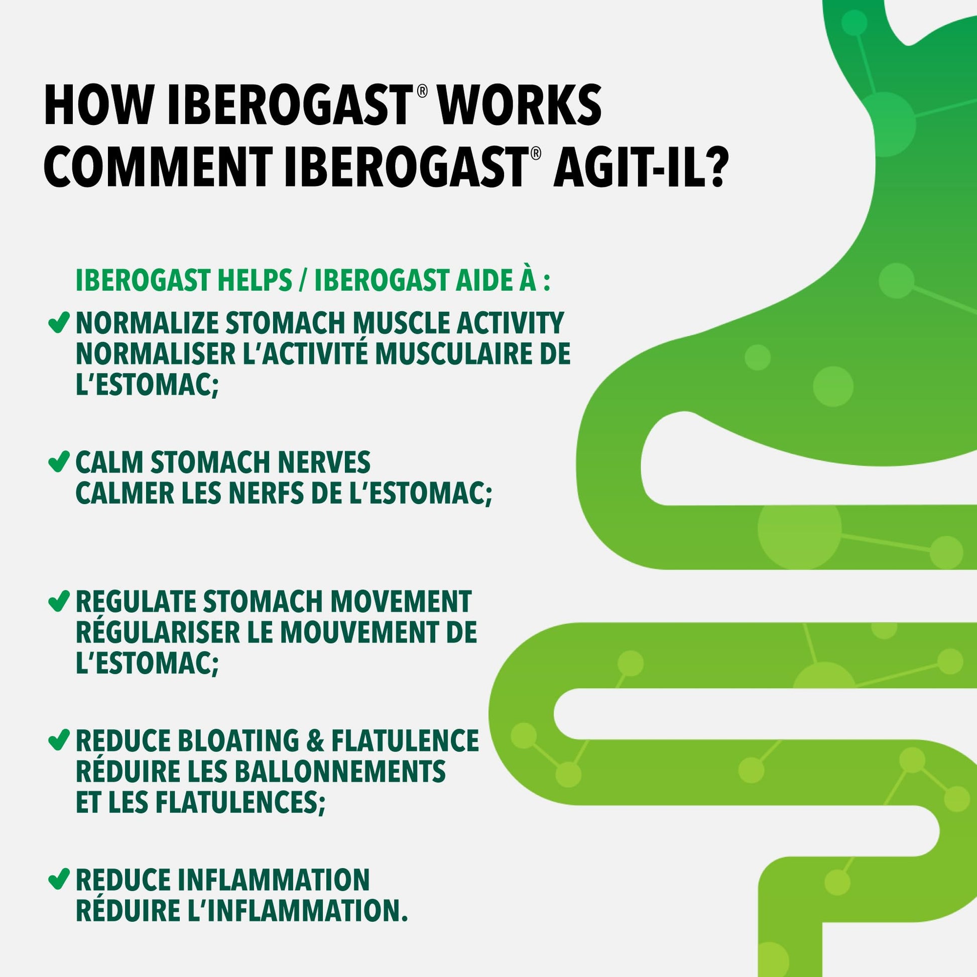 Iberogast 9 Herb Gut Health Treatment - Naturally Sourced Extracts, Gut Supplements For Women And Men, Digestive Supplements To Relieve Gastrointestinal Disturbances And IBS Symptoms,100ml - Available at All In One Marketplace Canada