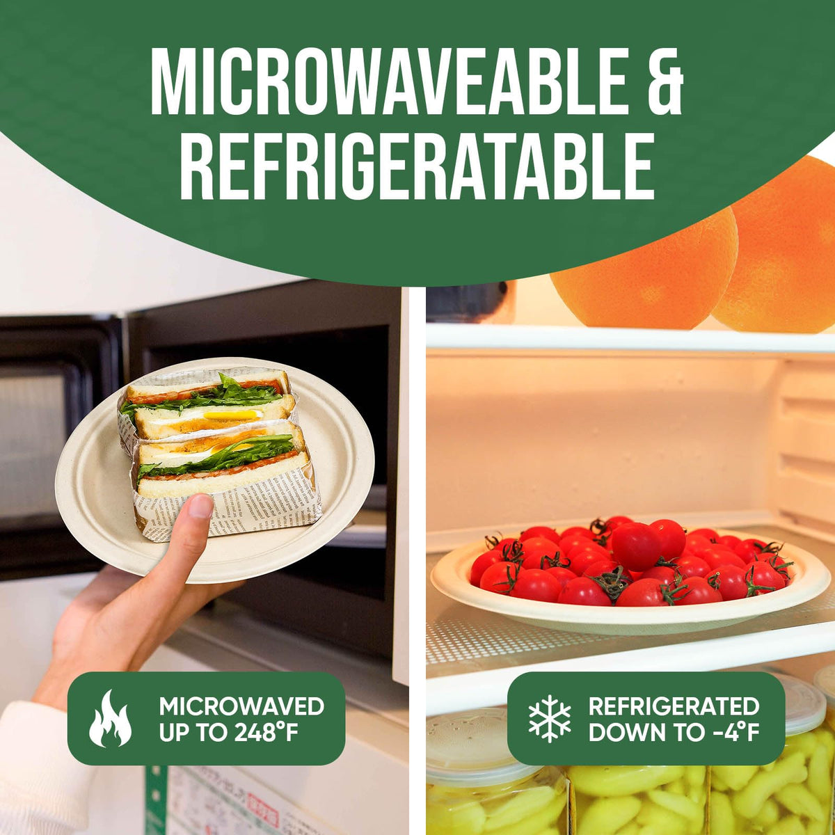 TaidMiao Disposable Paper Plate 9 inch,100% Compostable,100 Pack 🍁 All In One Marketplace Canada