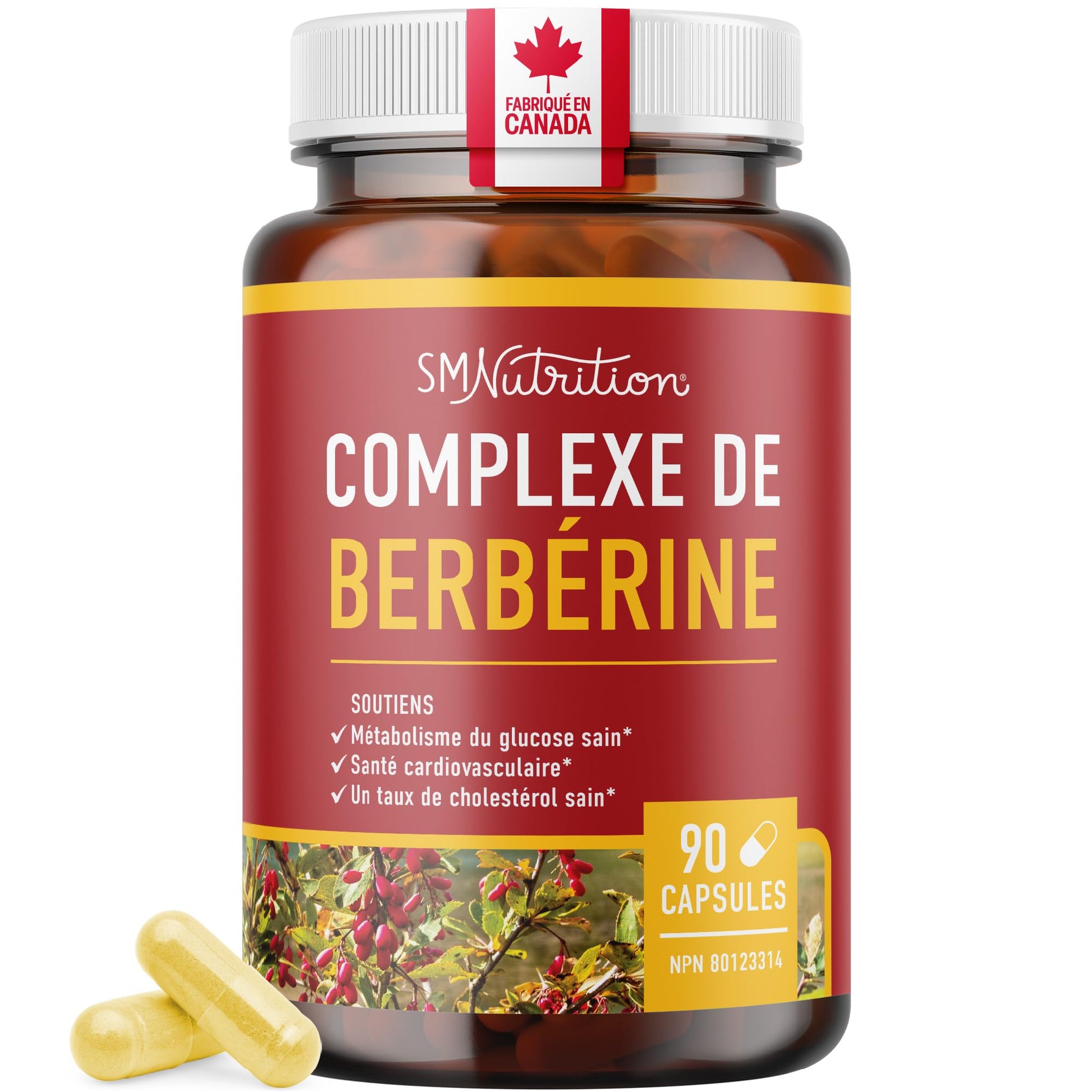 Berberine HCL Supplement | 1000mg | High Potency | Support Glucose Metabolism & Cardiovascular Health | 500mg Per Capsule | With Bitter Melon | Non-GMO, Third-Party Tested | 90 Ct. (45-Day Supply) - Available at All In One Marketplace Canada