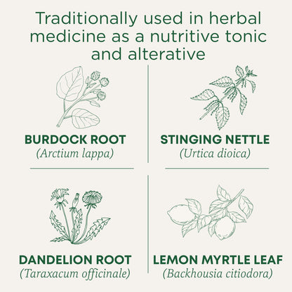 Traditional Medicinals Organic Everyday Detox Lemon Herbal Tea - 6 Pack (96 Tea Bags)