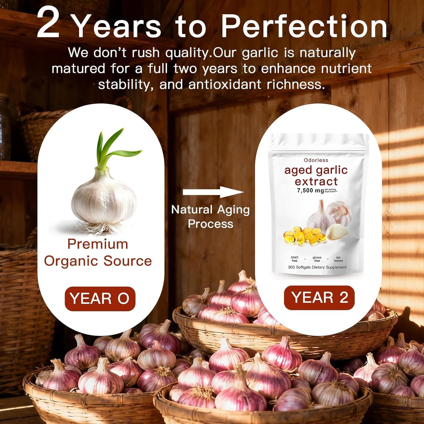 Aged Garlic Extract Capsules 7500mg Odorless – 300 Count Aged Garlic Supplement for Immune Support，Organic, Non-GMO, Vegetarian Softgels(1 PCS) - Available at All In One Marketplace Canada