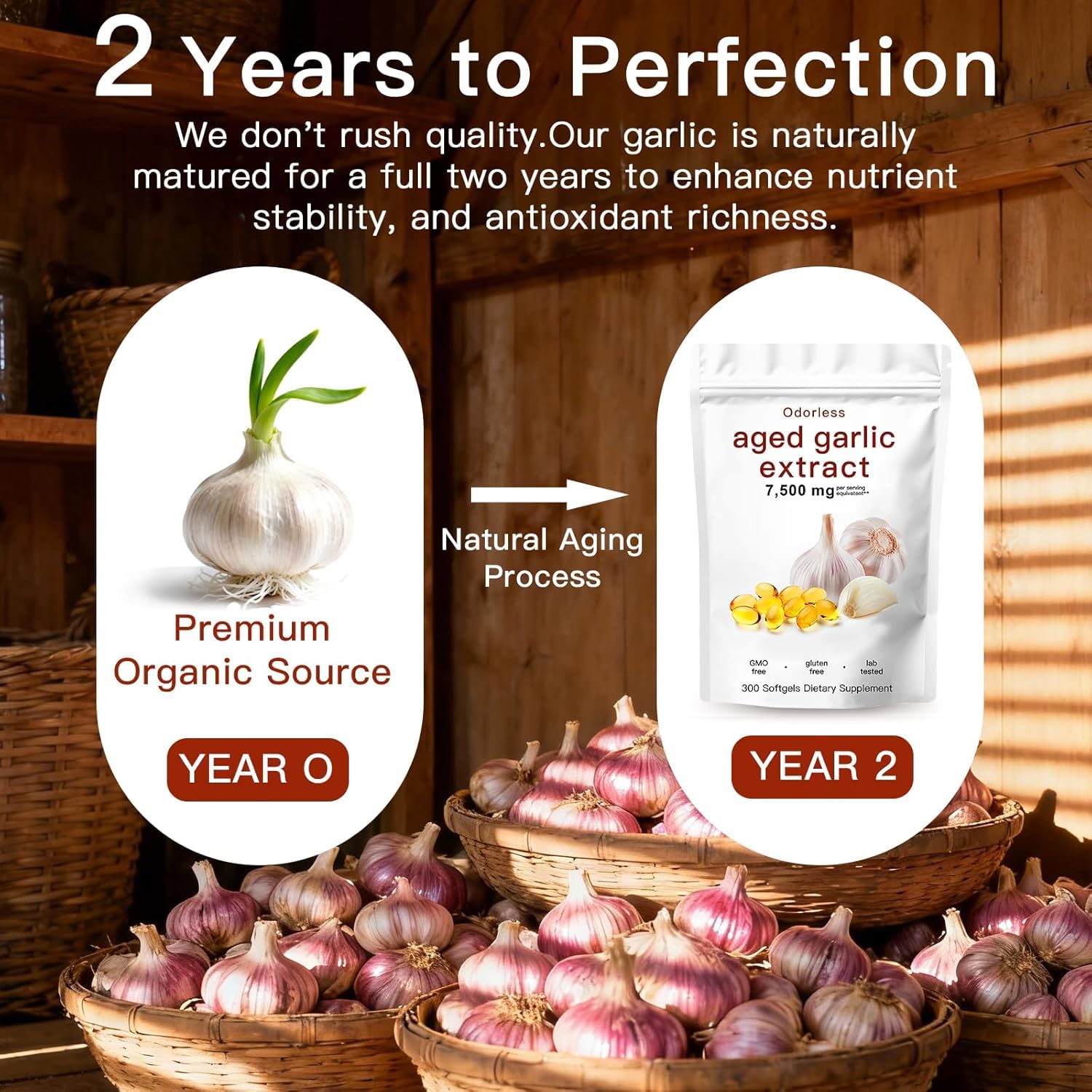Aged Garlic Extract Capsules 7500mg Odorless – 300 Count Aged Garlic Supplement for Immune Support，Organic, Non-GMO, Vegetarian Softgels(1 PCS) - Available at All In One Marketplace Canada