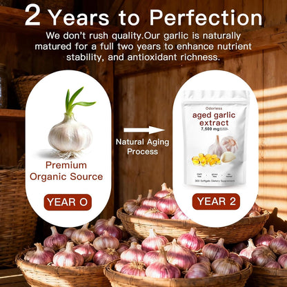 Aged Garlic Extract Capsules 7500mg Odorless – 300 Count Aged Garlic Supplement for Immune Support，Organic, Non-GMO, Vegetarian Softgels(1 PCS) - Available at All In One Marketplace Canada