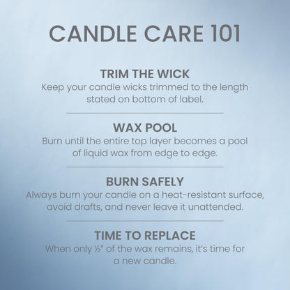 Yankee Candle 3 Wick Candle Jar, Scented Candle with up to 40 Hours of Burn Time, Premium Plant Wax Blend for Consistent Long Lasting Scent from First to Last Burn, Warm Luxe Cashmere 🍁 All In One Marketplace Canada