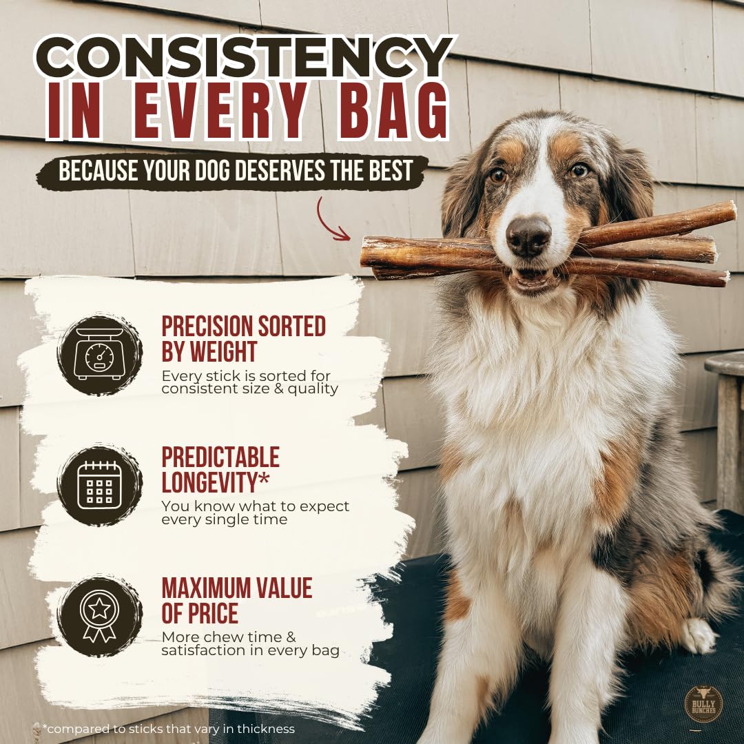 Bully Bunches Premium (6" Standard - 10 Pack) Odour-Free Bully Sticks - Small Dogs & Puppies - Consistently Sized, Long Lasting Chew Bones - All Natural & Single Ingredient, Beef Dog Treat, No Rawhide