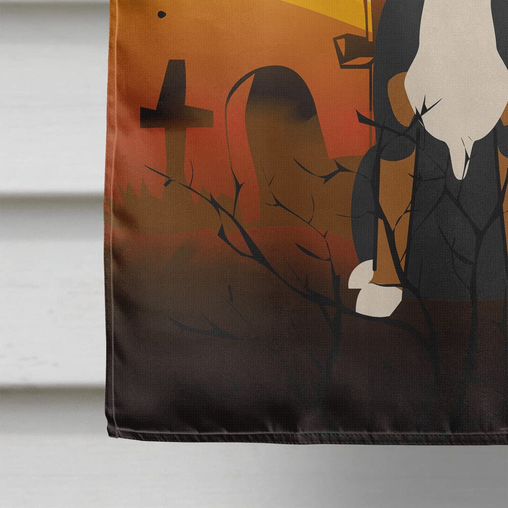 Drapeau de maison en toile Caroline's Treasures BB4303CHF pour Halloween avec Grand bouvier suisse, Grand, Multicolore