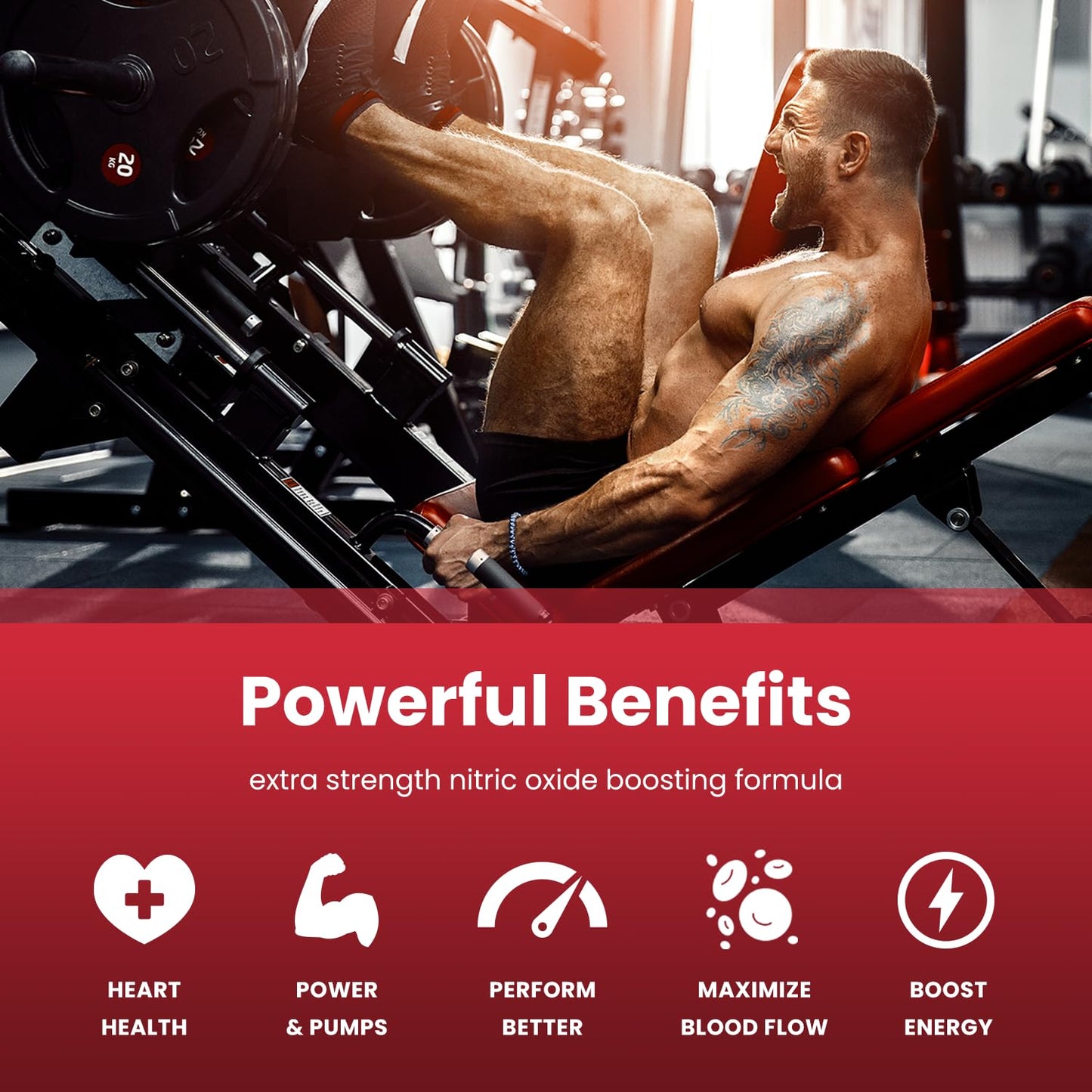 Nitric Oxide Supplement – L-Arginine, L-Citrulline Malate, AAKG, Pine Bark & Grape Seed Extract – Extra Strength Nitric Oxide Booster for Men – Supports Energy, Circulation, Stamina (Pack Of 1) - Available at All In One Marketplace Canada