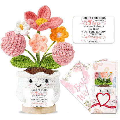 Best Friend Friendship Gifts for Women Crochet Flowers Small Birthday Gifts for Women Her Christmas Galentines Graduation Gifts for Friends Colleague Bestie Cute Stuff Desk Room Decor 🍁 All In One Marketplace Canada