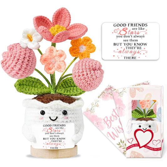 Best Friend Friendship Gifts for Women Crochet Flowers Small Birthday Gifts for Women Her Christmas Galentines Graduation Gifts for Friends Colleague Bestie Cute Stuff Desk Room Decor 🍁 All In One Marketplace Canada