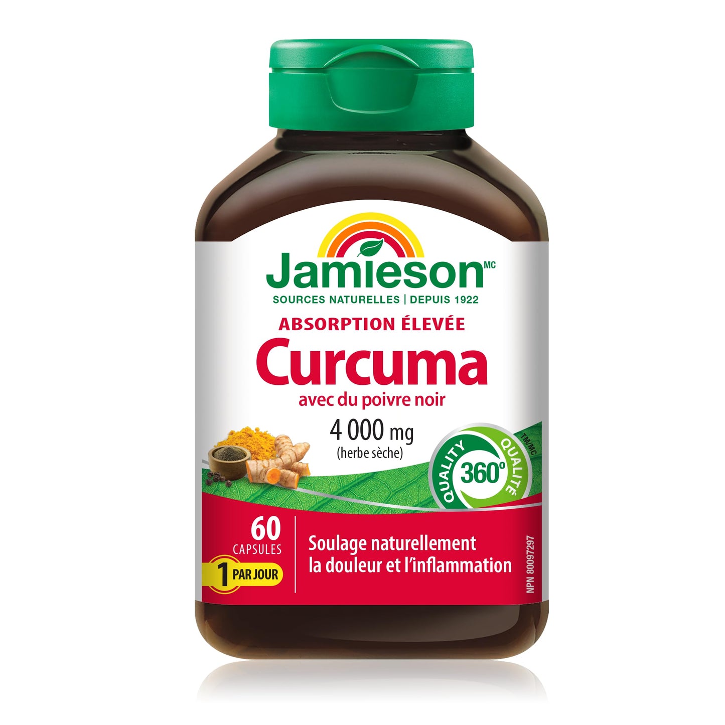 Jamieson Turmeric 4,000 mg, with Black Pepper, 60 Vegetarian Capsules, Natural Joint Pain Relief, Supports Inflammation, Helps with Digestion. High Absorption, Non-GMO, Proudly Canadian - Available at All In One Marketplace Canada