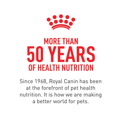 Royal Canin Adult Cat Sensitive Digestion Dry Adult Cat Food, 3.5 lb Bag 🍁 All In One Marketplace Canada