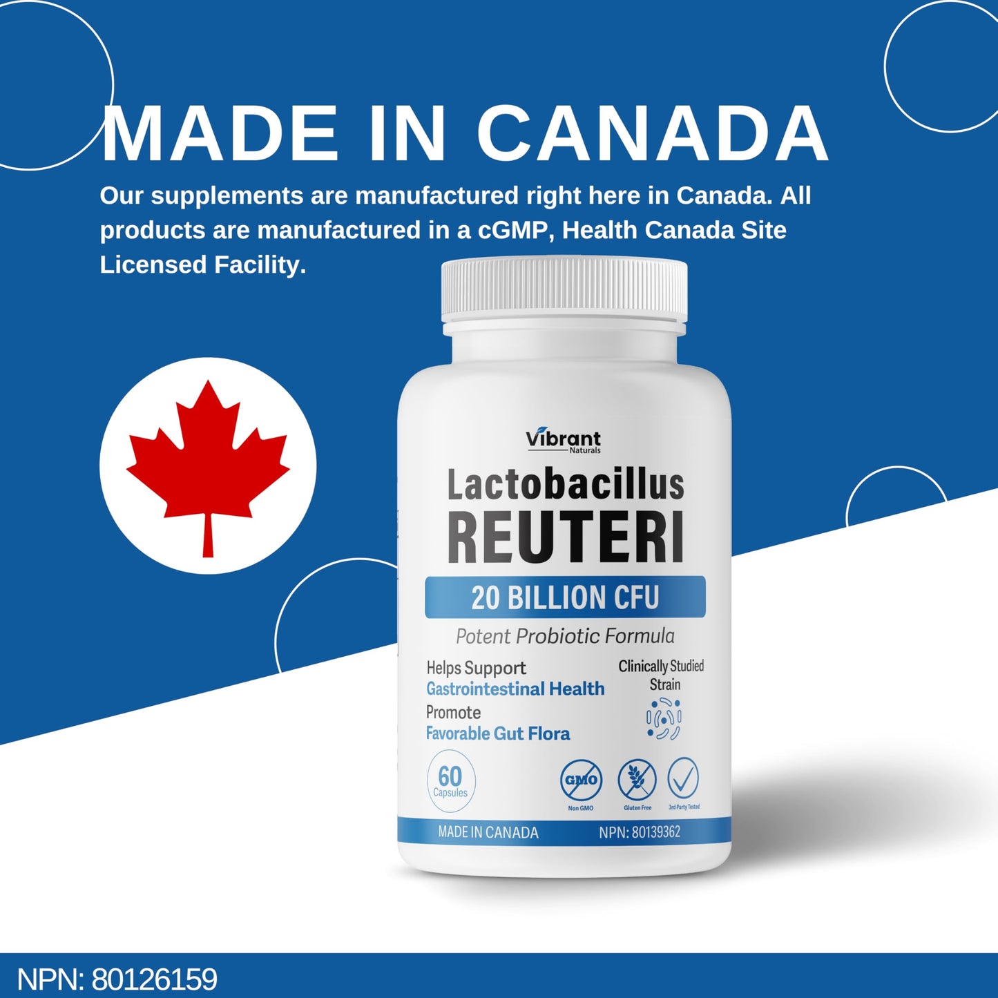 Lactobacillus Reuteri Probiotic 20 Billion CFU - L Reuteri Probiotic - Highest CFU Count, Gut Health, Yogurt Starter Culture, Probiotic With Prebiotic FOS, Made In Canada, 60 Capsules - Available at All In One Marketplace Canada
