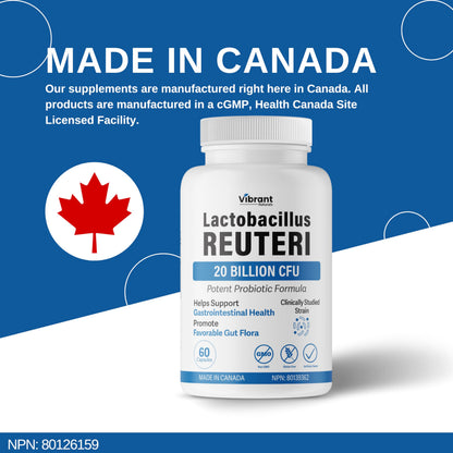 Lactobacillus Reuteri Probiotic 20 Billion CFU - L Reuteri Probiotic - Highest CFU Count, Gut Health, Yogurt Starter Culture, Probiotic With Prebiotic FOS, Made In Canada, 60 Capsules - Available at All In One Marketplace Canada
