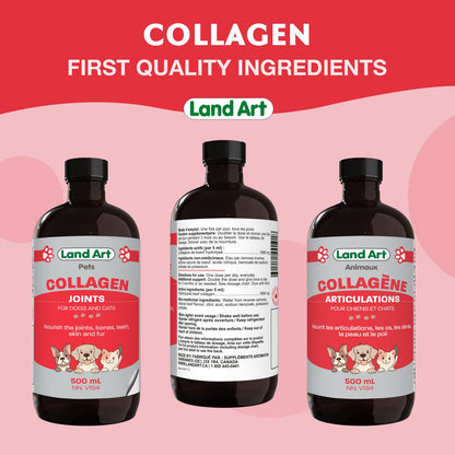 Pet Collagen Supplement - Grass Fed Beef Hydrolyzed - Natural Beef Flavour - Joint Care - Mobility & Health - Gluten, GMO & Sugar Free - for Dog & Cats - Made in Canada - 500ml - Available at All In One Marketplace Canada
