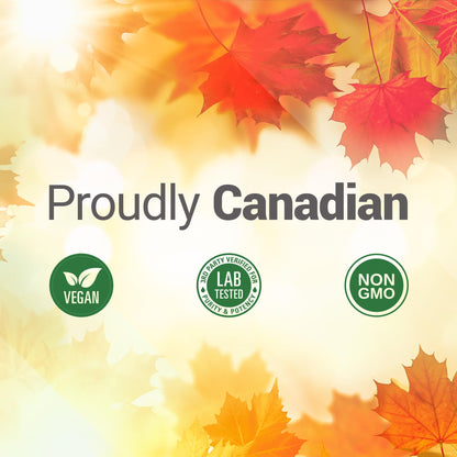 Nested Naturals Choline Bitartrate 500mg Per 2 Capsules | High Potency Choline Supplements | Supports Cognitive & Liver Function | 100% Vegan & Non-GMO Choline | 90 Vegan Capsules - Available at All In One Marketplace Canada