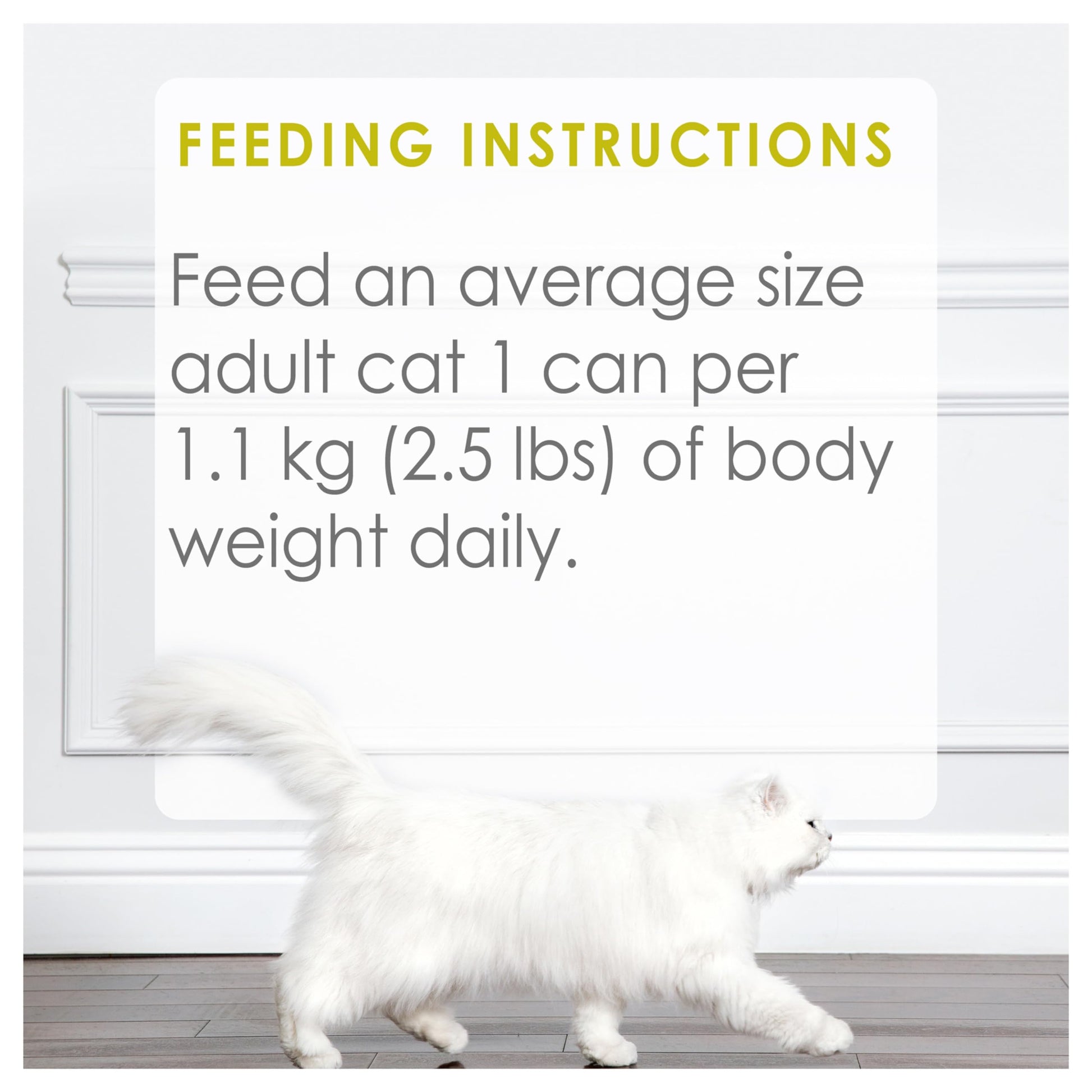 Fancy Feast Medleys Wet Cat Food, White Meat Chicken Primavera - 85 g Can (24 Pack) Fancy Feast