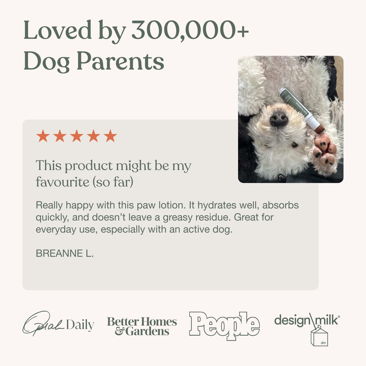 Dandylion Dog Paw Balm, Soft Paws, Paw Moisturizer for Dogs, Dog Lotion with Brush, Fragrance Free pH Balanced Lotion for Paws, Lightweight Moisture for Dry Cracked Paw Pads and Nose, 0.6 fl oz - Available at All In One Marketplace Canada