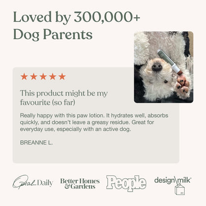 Dandylion Dog Paw Balm, Soft Paws, Paw Moisturizer for Dogs, Dog Lotion with Brush, Fragrance Free pH Balanced Lotion for Paws, Lightweight Moisture for Dry Cracked Paw Pads and Nose, 0.6 fl oz - Available at All In One Marketplace Canada
