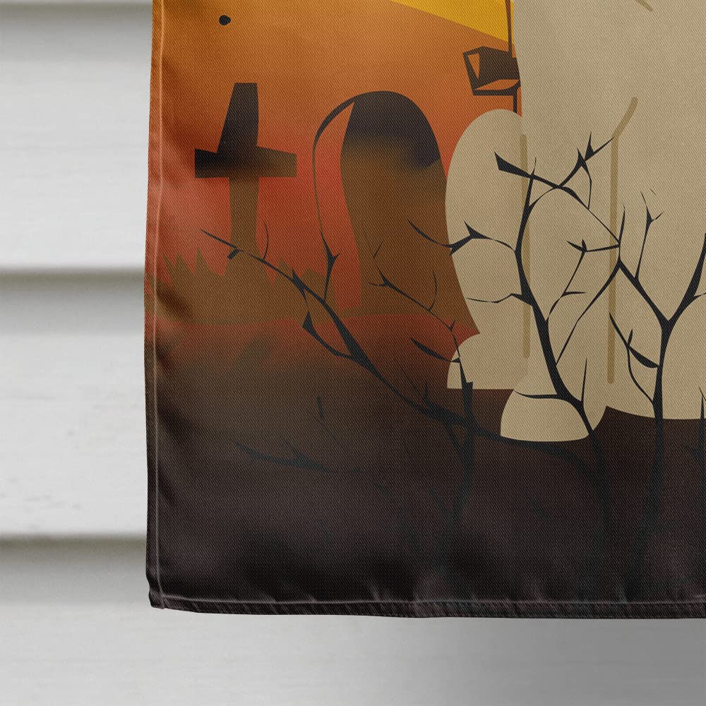 Caroline's Treasures BB4321CHF Halloween Yellow Labrador Flag Canvas House Size, Large, Multicolor