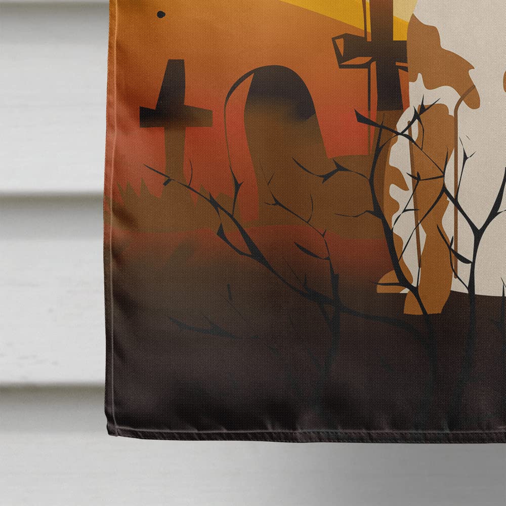 Drapeau Caroline's Treasures BB4338CHF pour maison, motif épagneul breton d'Halloween, en toile, grande taille, multicolore