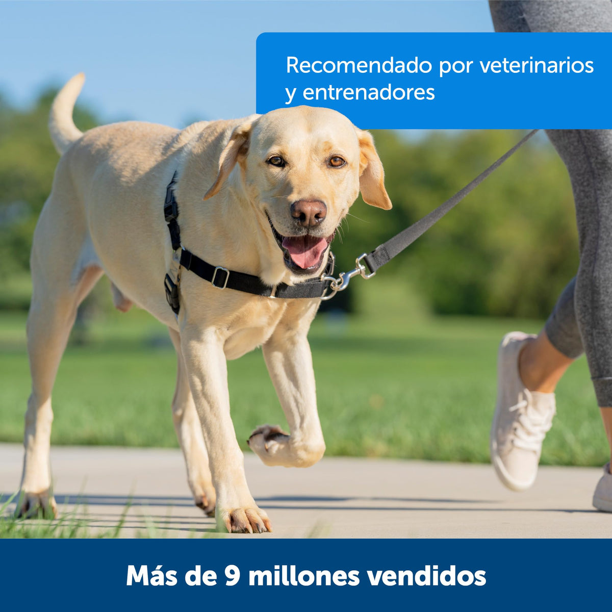 Petsafe Easy Walk Dog Harness, No Pull Dog Harness, Royal Blue/Navy Blue, Medium/Large
