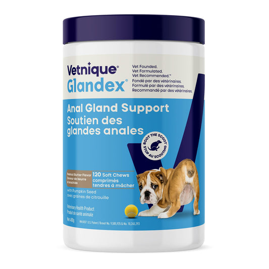 Glandex Anal Gland Soft Chew Treats with Pumpkin for Dogs Chews with Digestive Enzymes, Probiotics Fiber Supplement for Dogs – Vet Recommended - Boot The Scoot (Peanut Butter, 120ct Chews)
