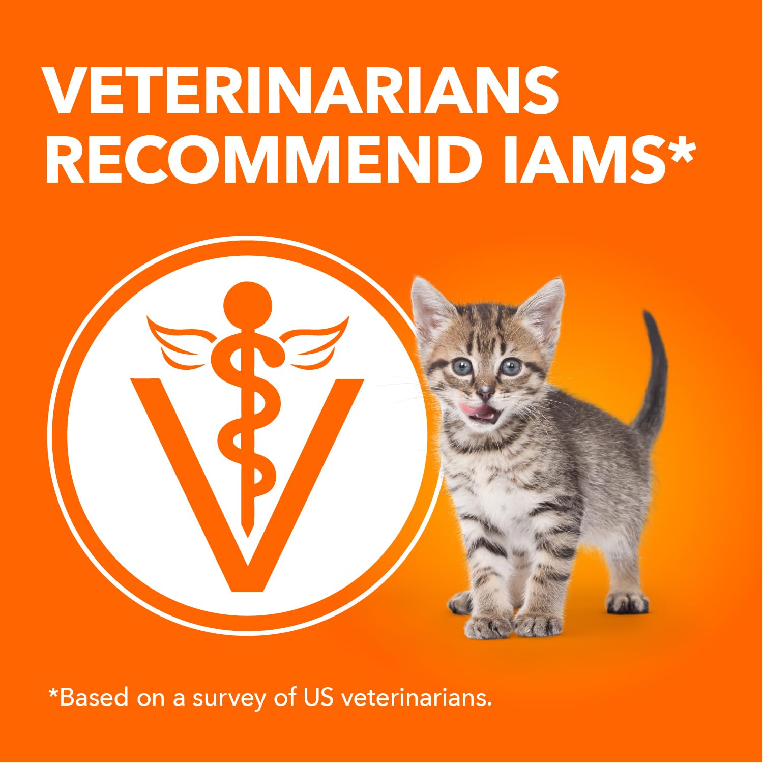 IAMS PERFECT PORTIONS Kitten Wet Cat Food, Chicken Flavour, 75g (24 pack) IAMS