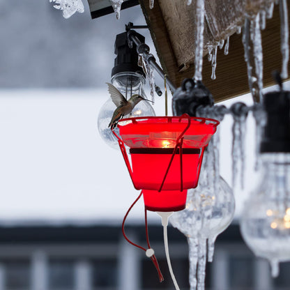 Hummingbird Feeder Heater for Winter, Heated Hummingbird Feeders for Outdoors, Hummingbird Feeder Warmer, Heated Bird Feeder Attaches to The Bottom of an Existing Feeder (Feeder Not Included) 🍁 All In One Marketplace Canada