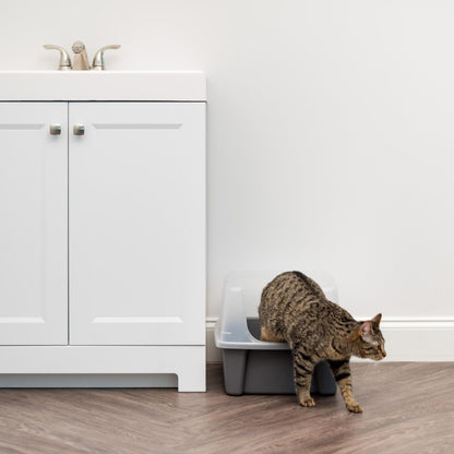IRIS USA Large Cat Litter Box with Scatter Shield and Scoop, Open Top High Sided Cat Litter Pan, Gray 🍁 All In One Marketplace Canada