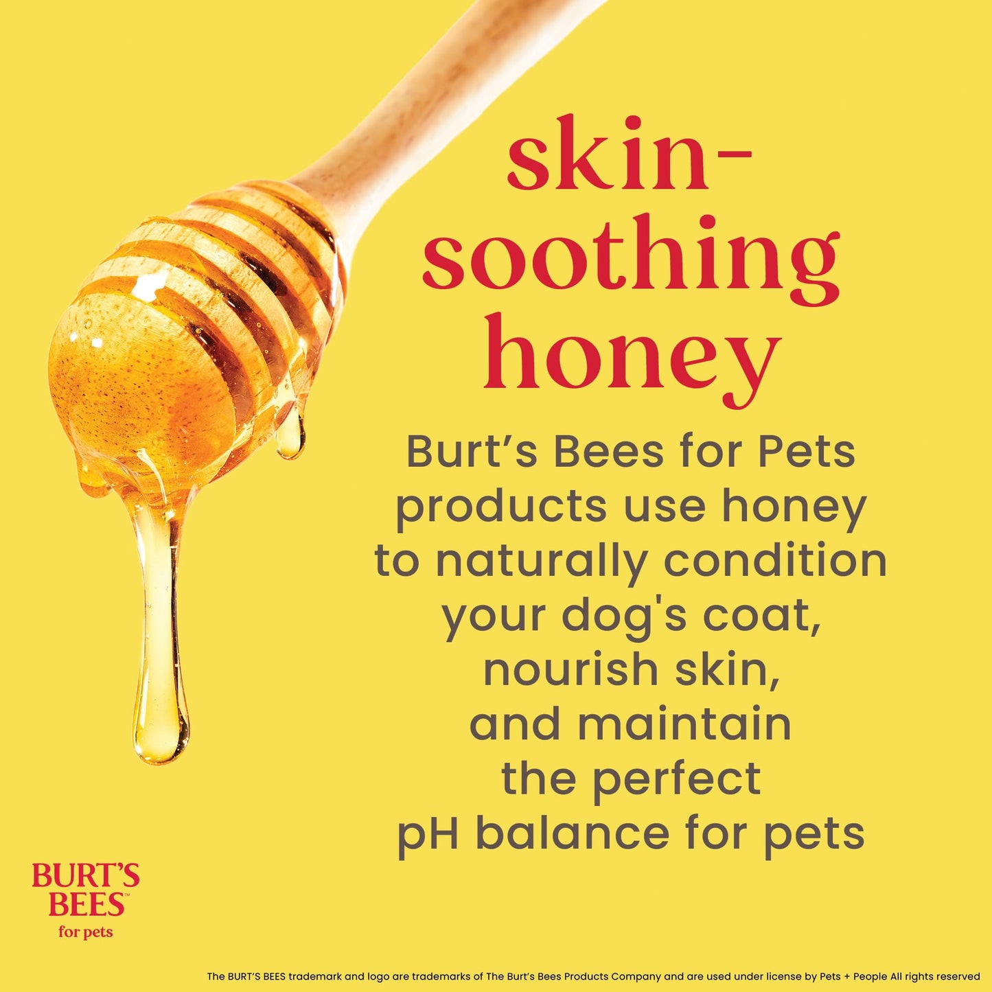 Burt's Bees Soothing Hot Spot Spray, 10-Ounce BURT'S BEES FOR PETS